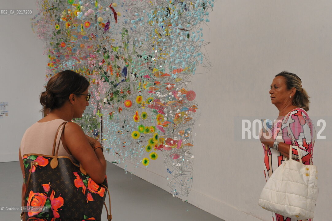 Venice 26/08/2010 -  12 Architecture Biennale: Palazzo delle Esposizioni - Andreas Jaque Arquitectos: Fray Foam Home -  Architettura architetti giardini ©Graziano Arici/Rosebud2