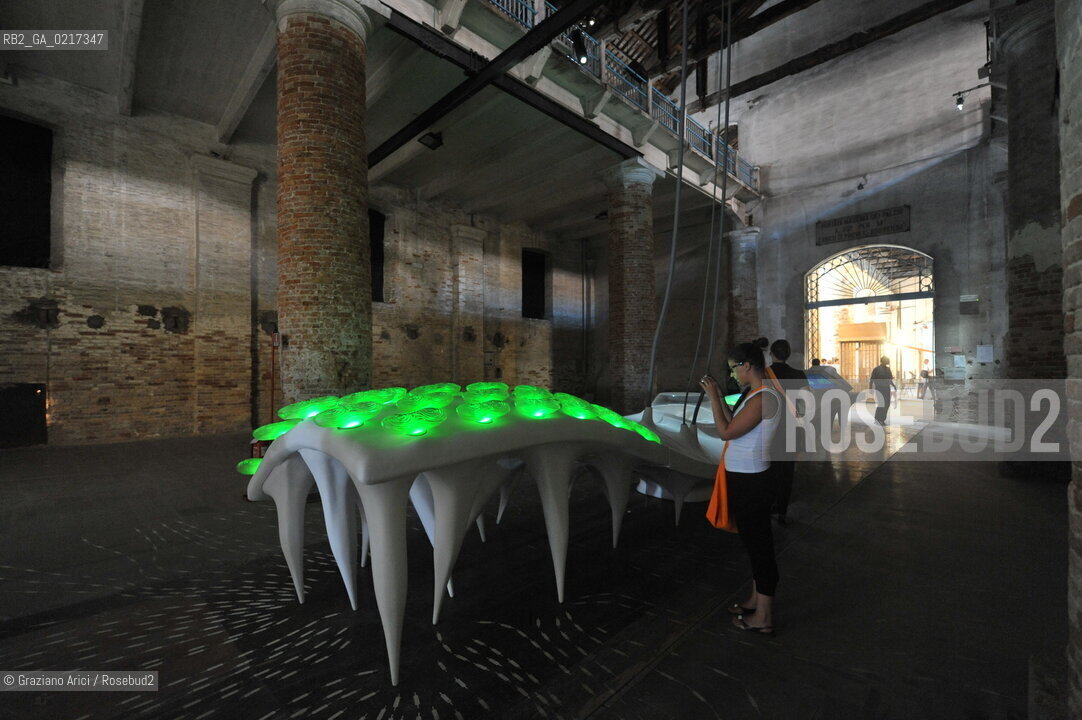 Venice 26/08/2010 -  12 Architecture Biennale: Corderie dellArsenale: R&Sie(n): Isobiot®ope -  Architettura architetti giardini ©Graziano Arici/Rosebud2