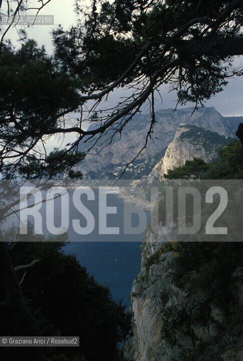 -Capri,(Campania),2002.Panorama e veduta della costa presso Capri.  Geo paesaggio natura mare.-Capri,(Campania),2002.View of coast of Capri ©Graziano Arici/Rosebud2