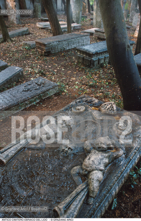 Caption: Nome:..CIMITERO EBRAICO DEL LIDO DI VENEZIA: LAPIDI  ....Localizzazione:..GHETTO / LIDO DI VENEZIA / CIMITERO EBRAICO  ..LIDO OF VENICE / JEWISH CEMETERY   ..Soggetto:..TOMBE / LAPIDI  DOPO IL RESTAURO (1999)..GRAVES / TOMBSTONES  ..Cronologia:......Autore:......Stile:......Editori Stampatori:......Committenza:......Materia e Tecnica:..MARMO  ..MARBLE   ..Collocazione:......Note:......Riproduzione Fotografica:..Graziano Arici/Rosebud2  ....Copyright:..Graziano Arici/Rosebud2/  ....Data:..2000....Costo:..A....Key: