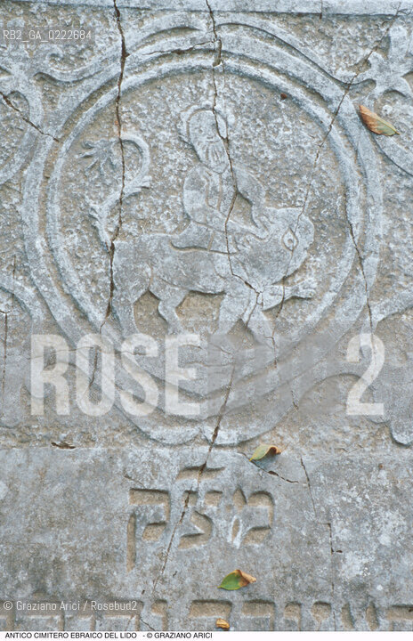Caption: Nome:..CIMITERO EBRAICO DEL LIDO DI VENEZIA: LAPIDI  ....Localizzazione:..GHETTO / LIDO DI VENEZIA / CIMITERO EBRAICO  ..LIDO OF VENICE / JEWISH CEMETERY   ..Soggetto:..TOMBE / LAPIDI  DOPO IL RESTAURO (1999) LEONE..GRAVES / TOMBSTONES  ..Cronologia:......Autore:......Stile:......Editori Stampatori:......Committenza:......Materia e Tecnica:..MARMO  ..MARBLE   ..Collocazione:......Note:......Riproduzione Fotografica:..Graziano Arici/Rosebud2  ....Copyright:..Graziano Arici/Rosebud2/  ....Data:..2000....Costo:..A....Key: