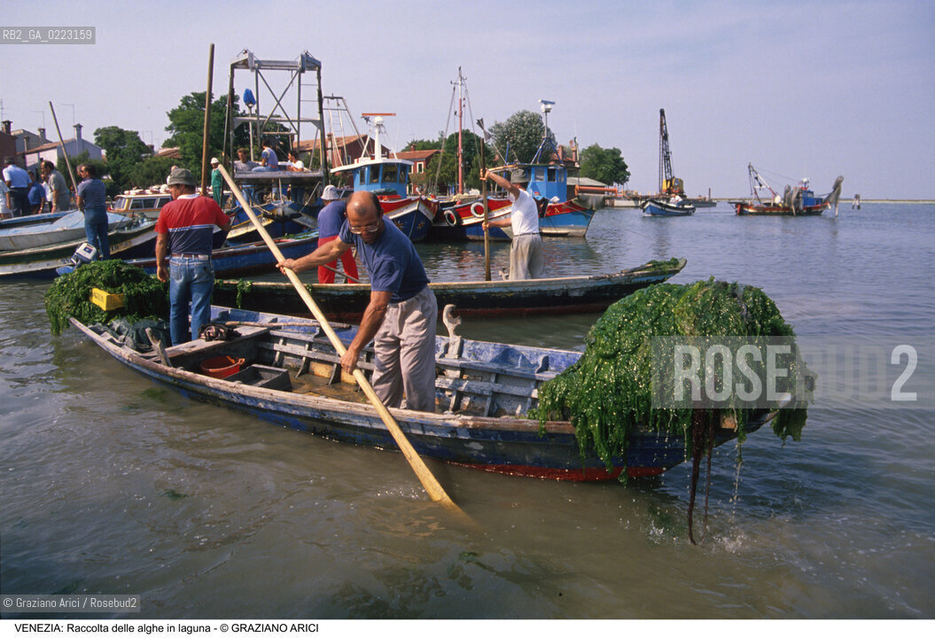 Localizzazione:..VENEZIA..Oggetto:..Soggetto:..RACCOLTA DI ALGHE IN LAGUNA / PESCATORI..Cronologia: ..Definizione Culturale:..   Autore: ..   Stile: ..   Editori/Stampatori:..   Committenza:..Materia e Tecnica:..Collocazione:..Note:..PROBLEMI INQUINAMENTO..Riproduzione Fotografica:..Graziano Arici/Rosebud2 .Copyright:..Graziano Arici/Rosebud2 .Data:..1990..Costo:..A..