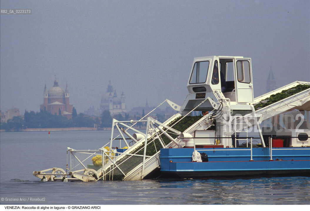 Localizzazione:..VENEZIA..Oggetto:..Soggetto:..RACCOLTA DI ALGHE IN LAGUNA / CONSORZIO VENEZIA NUOVA..Cronologia: ..Definizione Culturale:..   Autore: ..   Stile: ..   Editori/Stampatori:..   Committenza:..Materia e Tecnica:..Collocazione:..Note:..PROBLEMI INQUINAMENTO..Riproduzione Fotografica:..Graziano Arici/Rosebud2 .Copyright:..Graziano Arici/Rosebud2 .Data:..1990..Costo:..A..