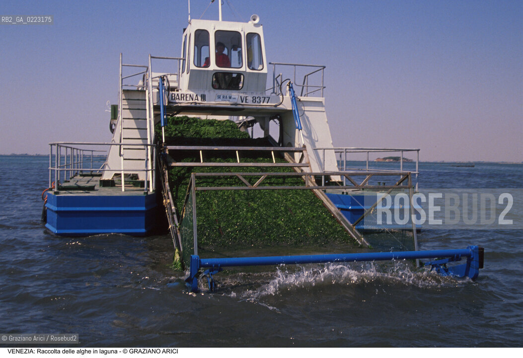 Localizzazione:..VENEZIA..Oggetto:..Soggetto:..RACCOLTA DI ALGHE IN LAGUNA / CONSORZIO VENEZIA NUOVA..Cronologia: ..Definizione Culturale:..   Autore: ..   Stile: ..   Editori/Stampatori:..   Committenza:..Materia e Tecnica:..Collocazione:..Note:..PROBLEMI INQUINAMENTO..Riproduzione Fotografica:..Graziano Arici/Rosebud2 .Copyright:..Graziano Arici/Rosebud2 .Data:..1990..Costo:..A..
