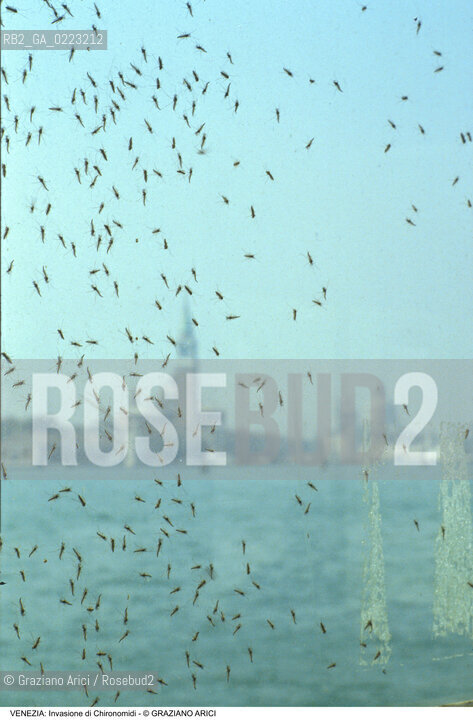 Localizzazione:..VENEZIA..Oggetto:..Soggetto:..INVASIONE DI CHIRONOMIDI..Cronologia: ..Definizione Culturale:..   Autore: ..   Stile: ..   Editori/Stampatori:..   Committenza:..Materia e Tecnica:..Collocazione:..Note:..PROBLEMI..Riproduzione Fotografica:..Graziano Arici/Rosebud2 .Copyright:..Graziano Arici/Rosebud2 .Data:..1985..Costo:..A