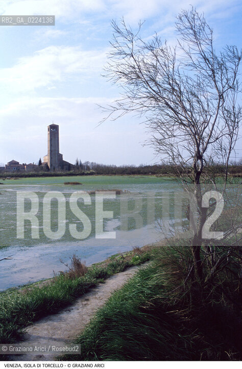 Localizzazione:..VENEZIA / ISOLA DI TORCELLO..Oggetto:..Soggetto:..CATTEDRALE S. MARIA ASSUNTA / LAGUNA ALGHE INQUINAMENTO..Cronologia: ..Definizione Culturale:..   Autore: ..   Stile: ..   Editori/Stampatori:..   Committenza:..Materia e Tecnica:..Collocazione:..Note:.. MURANO BURANO TORCELLO..Riproduzione Fotografica:..Graziano Arici/Rosebud2 .Copyright:..Graziano Arici/Rosebud2 .Data:..1987..Costo:..A..