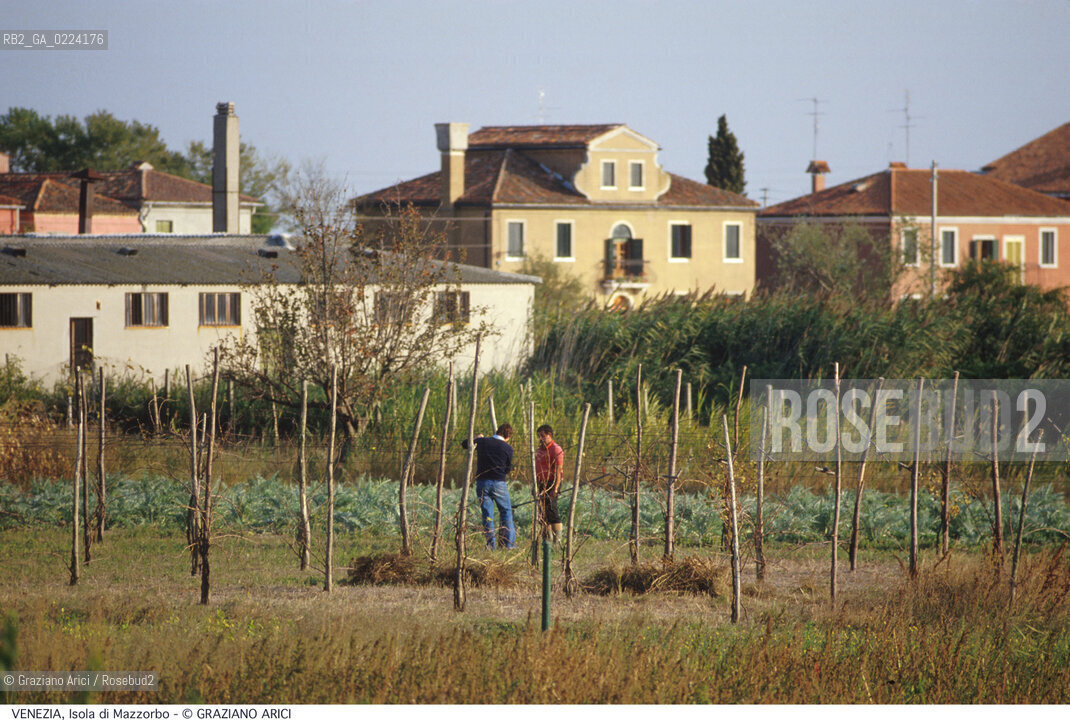 Localizzazione:..VENEZIA / ISOLA DI MAZZORBO..Oggetto:..Soggetto:..ORTI E VIGNE AGRICOLTURA..Cronologia: ....Definizione Culturale:..   Autore: ..   Stile: ..   Editori/Stampatori:..   Committenza:..Materia e Tecnica:..Collocazione:..Note:..MURANO BURANO TORCELLO..Riproduzione Fotografica:..Graziano Arici/Rosebud2 .Copyright:..Graziano Arici/Rosebud2 .Data:..1995..Costo:..A..
