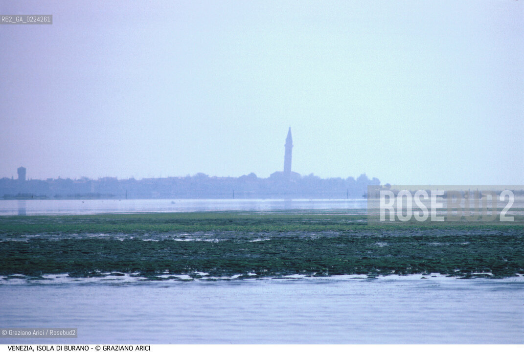 Localizzazione:..VENEZIA / ISOLA DI BURANO..Oggetto:..Soggetto:..LAGUNA ALGHE INQUINAMENTO / SKYLINE..Cronologia: ....Definizione Culturale:..   Autore: ..   Stile: ..   Editori/Stampatori:..   Committenza:..Materia e Tecnica:..Collocazione:..Note:....Riproduzione Fotografica:..Graziano Arici/Rosebud2 .Copyright:..Graziano Arici/Rosebud2 .Data:..1995..Costo:..A..
