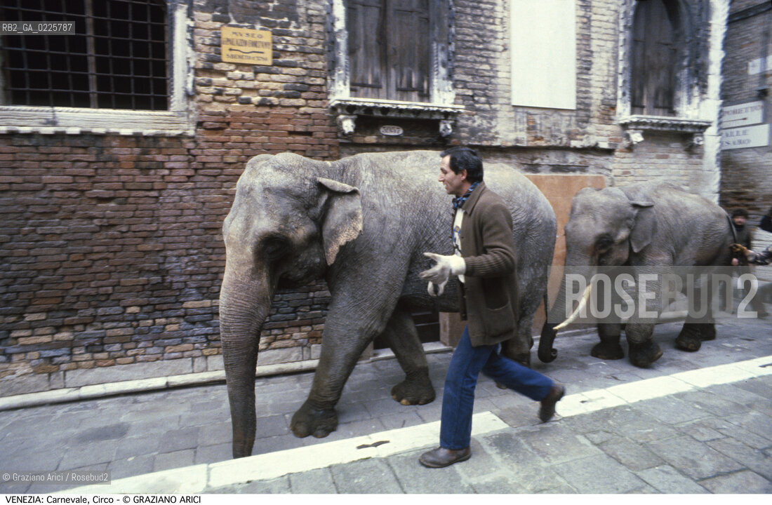 Localizzazione:..VENEZIA / S. MARCO..Oggetto:..Soggetto:..CARNEVALE CIRCO ELEFANTI..Cronologia: ....Definizione Culturale:..   Autore: ....   Stile:....   Editori/Stampatori:..   Committenza:..Materia e Tecnica:....Collocazione:..Note:....Riproduzione Fotografica:..Graziano Arici/Rosebud2 .Copyright:..Graziano Arici/Rosebud2 .Data:..1980..Costo:..A..