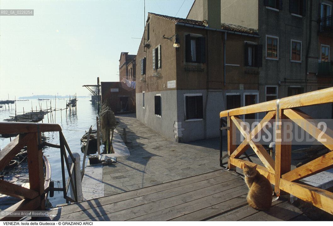 Localizzazione:..VENEZIA / ISOLA DELLA GIUDECCA..Oggetto:..Soggetto:..FONDAMENTA S. ANGELO / GATTO..Cronologia: ....Definizione Culturale:..   Autore:....   Stile:..   Editori/Stampatori:..   Committenza:..Materia e Tecnica:....Collocazione:..Note:..CALLI CAMPI E PONTI..Riproduzione Fotografica:..Copyright:..Graziano Arici/Rosebud2 .Data:..1985..Costo:..A