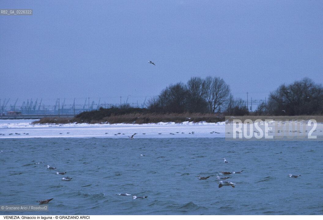 Localizzazione:..VENEZIA MESTRE..Oggetto:..Soggetto:..GHIACCIO IN LAGUNA / S. GIULIANO..Cronologia: ....Definizione Culturale:..   Autore:....   Stile:..   Editori/Stampatori:..   Committenza:..Materia e Tecnica:....Collocazione:..Note:..INVERNO..Riproduzione Fotografica:..Copyright:..Graziano Arici/Rosebud2 .Data:..1985..Costo:..A