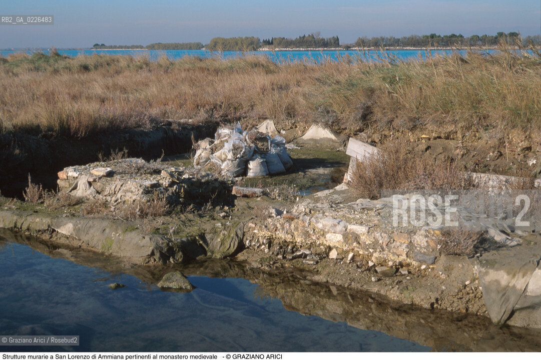 Caption: Nome:..BARENA SITO DI SAN LORENZO IN AMMIANA....Localizzazione:..VENEZIA /  LAGUNA NORD..VENICE /  THE NORTH LAGOON..Soggetto:..Strutture murarie a San Lorenzo di Ammiana pertinenti al monastero medievale..ARCHEOLOGIA..Cronologia:......Autore:......Stile:......Editori Stampatori:......Committenza:......Materia e Tecnica:......Collocazione:......Note:....Riproduzione Fotografica:..Graziano Arici/Rosebud2 ...Copyright:..Graziano Arici / rosebud2/....Data:..1993....Costo:..A....Key:..ISOLE ABBANDONATE..UNINHABITED ISLANDS