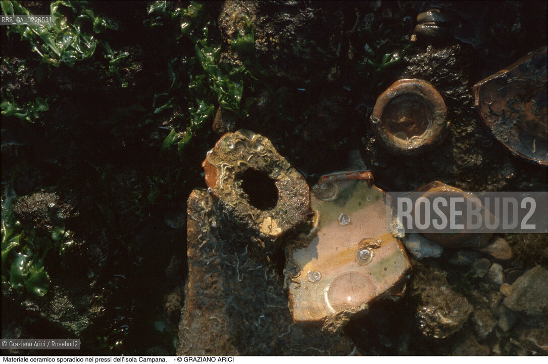 Caption: Nome:..BARENA SITO DI SAN MARCO IN BOCCALAMA....Localizzazione:..VENEZIA /  LAGUNA SUD..VENICE /  THE SOUTH LAGOON..Soggetto:..Materiale ceramico sporadico nei pressi dell’isola Campana...ARCHEOLOGIA..Cronologia:......Autore:......Stile:......Editori Stampatori:......Committenza:......Materia e Tecnica:......Collocazione:......Note:....Riproduzione Fotografica:..Graziano Arici/Rosebud2 ...Copyright:..Graziano Arici / rosebud2/....Data:..1993....Costo:..A....Key:..ISOLE ABBANDONATE..UNINHABITED ISLANDS