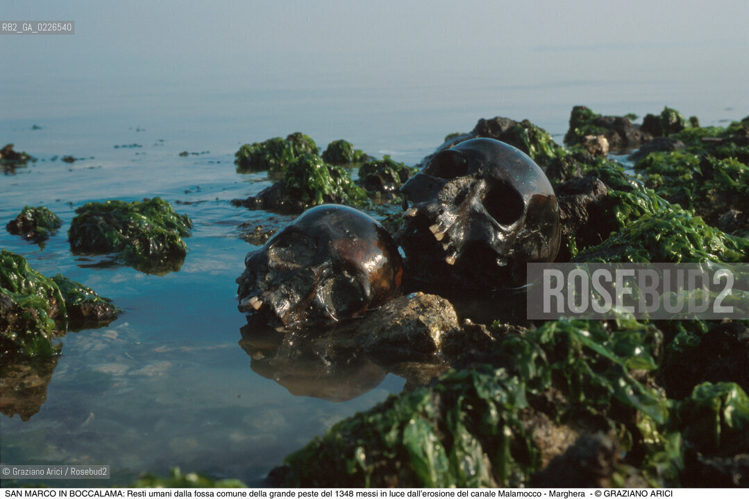 Caption: Nome:..BARENA SITO DI SAN MARCO IN BOCCALAMA....Localizzazione:..VENEZIA /  LAGUNA SUD..VENICE /  THE SOUTH LAGOON..Soggetto:..Resti umani dalla fossa comune della grande peste del 1348 messi in luce dall’erosione del canale Malamocco - Marghera..ARCHEOLOGIA..Cronologia:......Autore:......Stile:......Editori Stampatori:......Committenza:......Materia e Tecnica:......Collocazione:......Note:....Riproduzione Fotografica:..Graziano Arici/Rosebud2 ...Copyright:..Graziano Arici / rosebud2/....Data:..1993....Costo:..A....Key:..ISOLE ABBANDONATE..UNINHABITED ISLANDS