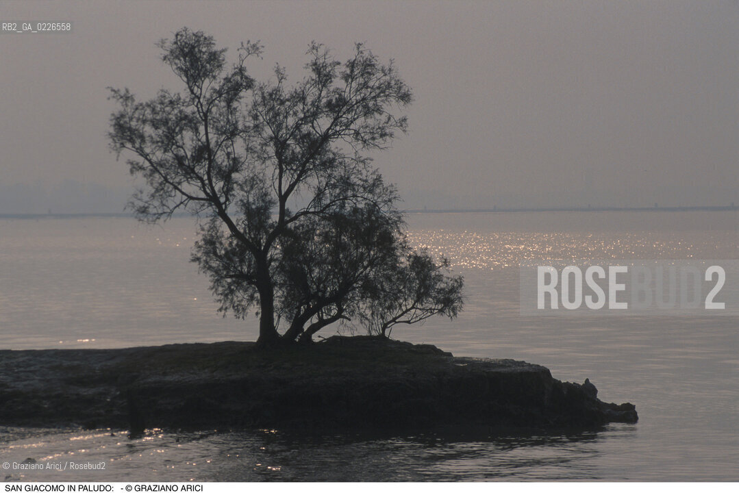 Caption: Nome:..ISOLA DI SAN GIACOMO IN PALUDO ....Localizzazione:..VENEZIA / ISOLA DI SAN  GIACOMO IN PALUDO / LAGUNA NORD..VENICE / THE ISLE OF SAN GIACOMO IN PALUDO / THE NORTH LAGOON..Soggetto:..ISOLA DI SAN GIACOMO IN PALUDO / RESTI DI UN EDIFICIO ALBERO..THE ISLE OF SAN GIACOMO IN PALUDO  / REMAINS OF A BUILDING ..Cronologia:......Autore:......Stile:......Editori Stampatori:......Committenza:......Materia e Tecnica:......Collocazione:......Note:..DAL 1860 VENNE UTILIZZATA COME POLVERIERA..SINCE1860 THE ISLE WAS USED AS A POWDER MAGAZINE ..Riproduzione Fotografica:..Graziano Arici/Rosebud2 ...Copyright:..Graziano Arici / rosebud2/....Data:..1993....Costo:..A....Key:..ISOLE ABBANDONATE..UNINHABITED ISLANDS