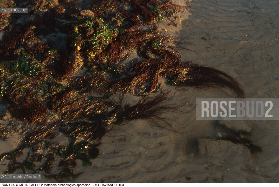 Caption: Nome:..ISOLA DI SAN GIACOMO IN PALUDO ....Localizzazione:..VENEZIA / ISOLA DI SAN  GIACOMO IN PALUDO / LAGUNA NORD..VENICE / THE ISLE OF SAN GIACOMO IN PALUDO / THE NORTH LAGOON..Soggetto:..ISOLA DI SAN GIACOMO IN PALUDO / Materiale archeologico sporadico a San Giacomo in Paludo ALGHE..ARCHEOLOGIA..Cronologia:......Autore:......Stile:......Editori Stampatori:......Committenza:......Materia e Tecnica:......Collocazione:......Note:..DAL 1860 VENNE UTILIZZATA COME POLVERIERA..SINCE1860 THE ISLE WAS USED AS A POWDER MAGAZINE ..Riproduzione Fotografica:..Graziano Arici/Rosebud2 ...Copyright:..Graziano Arici / rosebud2/....Data:..1993....Costo:..A....Key:..ISOLE ABBANDONATE..UNINHABITED ISLANDS