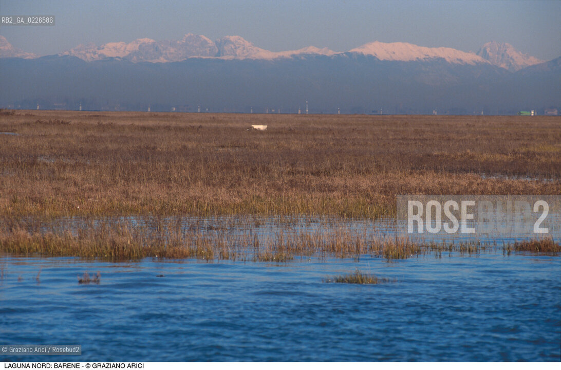 Caption: Localizzazione:..VENEZIA / LAGUNA NORD..Oggetto:..Soggetto:..VERSO BURANO BARENE  MONTAGNE..Cronologia: ....Definizione Culturale:..   Autore: ..   Stile: ..   Editori/Stampatori:..   Committenza:..Materia e Tecnica:..Collocazione:..Note:....Riproduzione Fotografica:..Graziano Arici/Rosebud2 .Copyright:..Graziano Arici/Rosebud2 .Data:..1995..Costo:..A