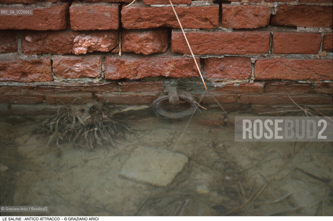 Caption: Nome:..LE SALINE ....Localizzazione:..VENEZIA / LE SALINE / LAGUNA NORD....Soggetto:..LE SALINE : ANTICO ATTRACCO..ARCHEOLOGIA..Cronologia:......Autore:......Stile:......Editori Stampatori:......Committenza:......Materia e Tecnica:......Collocazione:......Note:....Riproduzione Fotografica:..Graziano Arici/Rosebud2 ...Copyright:..Graziano Arici / rosebud2/....Data:..1993....Costo:..A....Key:..ISOLE ABBANDONATE..UNINHABITED ISLANDS