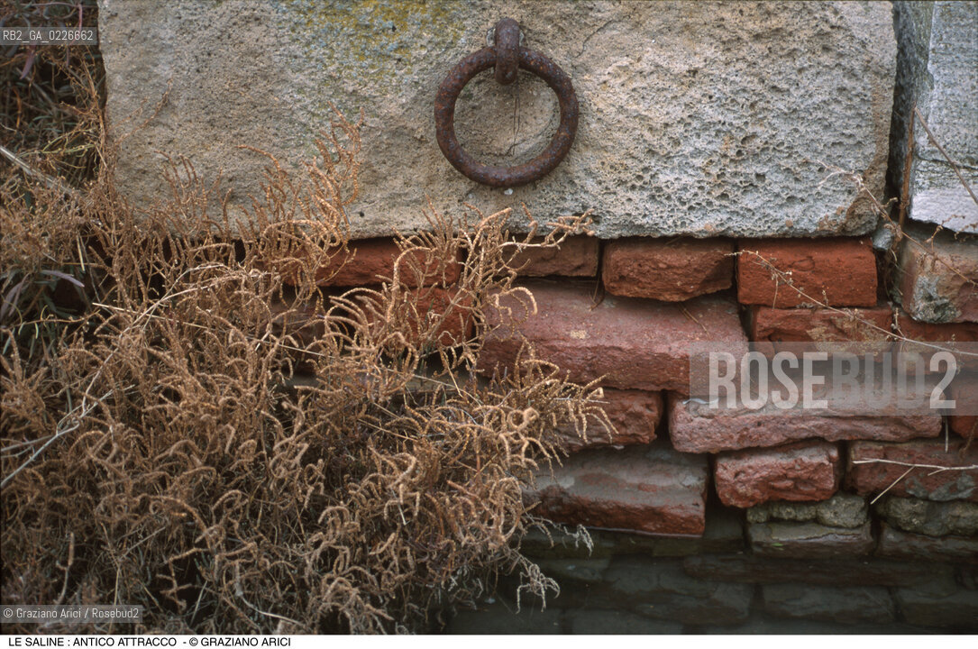 Caption: Nome:..LE SALINE ....Localizzazione:..VENEZIA /LE SALINE / LAGUNA NORD....Soggetto:..LE SALINE : ANTICO ATTRACCO..ARCHEOLOGIA ..Cronologia:......Autore:......Stile:......Editori Stampatori:......Committenza:......Materia e Tecnica:......Collocazione:......Note:....Riproduzione Fotografica:..Graziano Arici/Rosebud2 ...Copyright:..Graziano Arici / rosebud2/....Data:..1993....Costo:..A....Key:..ISOLE ABBANDONATE..UNINHABITED ISLANDS