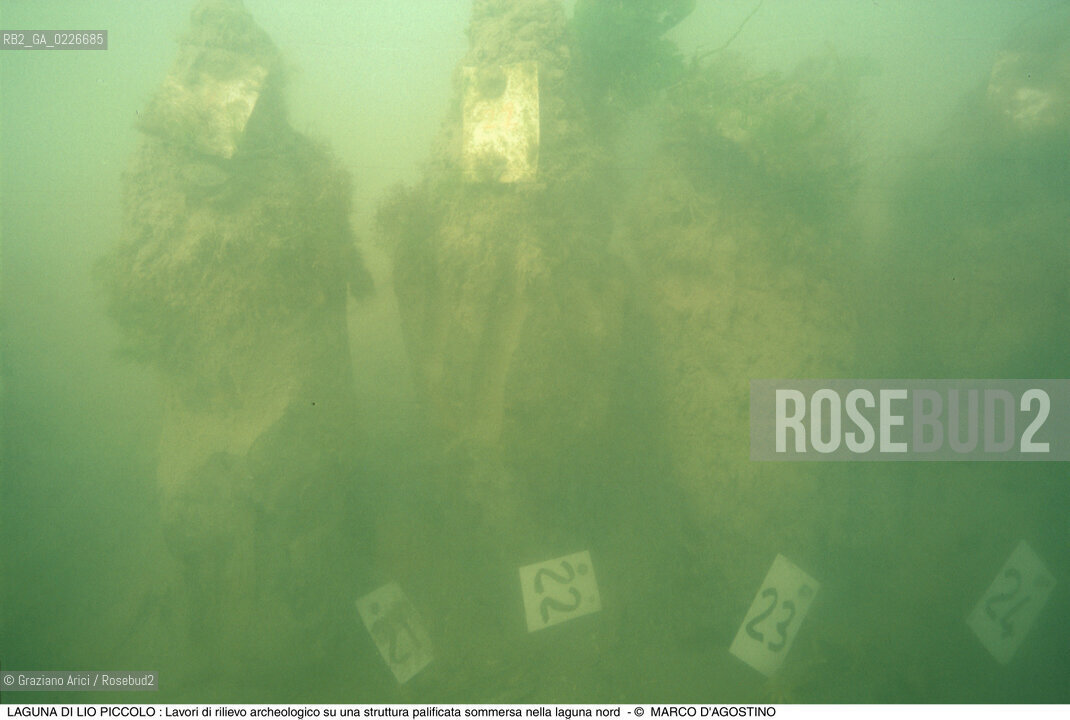 Caption: Nome:..LIO PICCOLO..Localizzazione:..VENEZIA / LAGUNA DI LIO PICCOLO / LAGUNA NORD..VENICE / LIO PICCOLO   / THE NORTH LAGOON..Soggetto:..LAGUNA DI LIO PICCOLO : Lavori di rilievo archeologico su una struttura palificata sommersa nella laguna nord...ARCHEOLOGIA SUBACQUEA..Cronologia:......Autore:......Stile:......Editori Stampatori:......Committenza:......Materia e Tecnica:......Collocazione:......Note:....Riproduzione Fotografica:..MARCO DAGOSTINO....Copyright:..MARCO DAGOSTINO....Data:..1993....Costo:..A....Key:..ISOLE ABBANDONATE..UNINHABITED ISLANDS