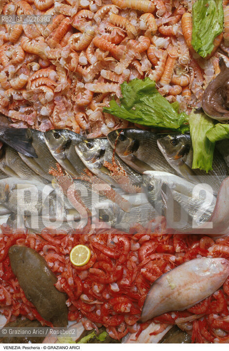 Localizzazione:..VENEZIA / S. POLO..Oggetto:..Soggetto:..MERCATO ITTICO DI RIALTO / PESCHERIA PESCE..Cronologia: ....Definizione Culturale:..   Autore:....   Stile:..   Editori/Stampatori:..   Committenza:..Materia e Tecnica:....Collocazione:..Note:..MERCATI..Riproduzione Fotografica:..Copyright:..Graziano Arici/Rosebud2 .Data:..1985..Costo:..A