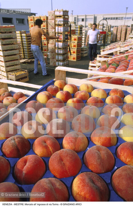 Localizzazione:..VENEZIA / MESTRE..Oggetto:..Soggetto:..MERCATO DI FRUTTA E VERDURA ALL INGROSSO DI VIA TORINO / PESCHE ..Cronologia: ....Definizione Culturale:..   Autore:....   Stile:..   Editori/Stampatori:..   Committenza:..Materia e Tecnica:....Collocazione:..Note:..MERCATI..Riproduzione Fotografica:..Copyright:..Graziano Arici/Rosebud2 .Data:..1990..Costo:..A