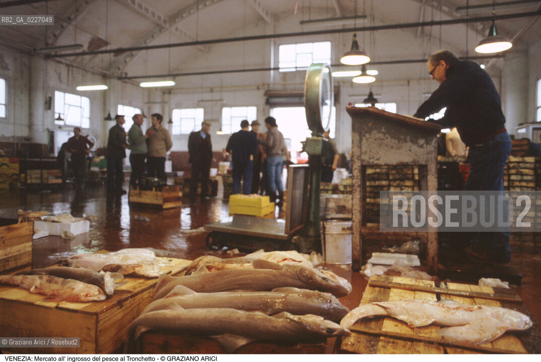 Localizzazione:..VENEZIA / TRONCHETTO..Oggetto:..Soggetto:..MERCATO DI PESCE ALL INGROSSO..Cronologia: ....Definizione Culturale:..   Autore:....   Stile:..   Editori/Stampatori:..   Committenza:..Materia e Tecnica:....Collocazione:..Note:..MERCATI..Riproduzione Fotografica:..Copyright:..Graziano Arici/Rosebud2 .Data:..1990..Costo:..A