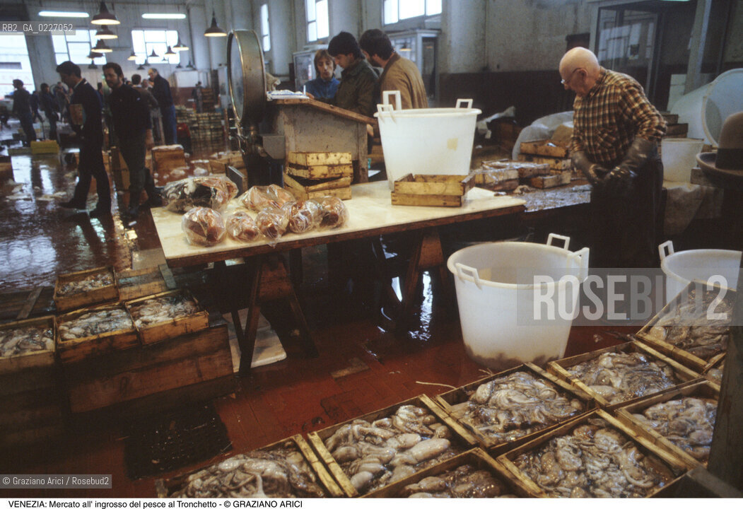Localizzazione:..VENEZIA / TRONCHETTO..Oggetto:..Soggetto:..MERCATO DI PESCE ALL INGROSSO..Cronologia: ....Definizione Culturale:..   Autore:....   Stile:..   Editori/Stampatori:..   Committenza:..Materia e Tecnica:....Collocazione:..Note:..MERCATI..Riproduzione Fotografica:..Copyright:..Graziano Arici/Rosebud2 .Data:..1990..Costo:..A