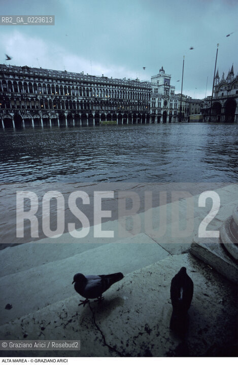 Caption: Nome:..ALTA MAREA..HIGHT TIDE..Localizzazione:..VENEZIA / S. MARCO / PIAZZA S. MARCO..VENICE / ST. MARK  / ST. MARK S SQUARE..Soggetto:..PROCURATIE VECCHIE IN PIAZZA S. MARCO CON LACQUA ALTA / COLOMBI..PROCURATIE VECCHIE IN ST. MARK S SQUARE DURING THE HIGHT TIDE / PIGEONS..Cronologia:......Autore:......Stile:......Editori Stampatori:......Committenza:......Materia e Tecnica:......Collocazione:......Note:....Riproduzione Fotografica:..Graziano Arici/Rosebud2 ...Copyright:..Graziano Arici / rosebud2/....Data:..1992....Costo:..A....Key:..ACQUA ALTA..HIGHT TIDE