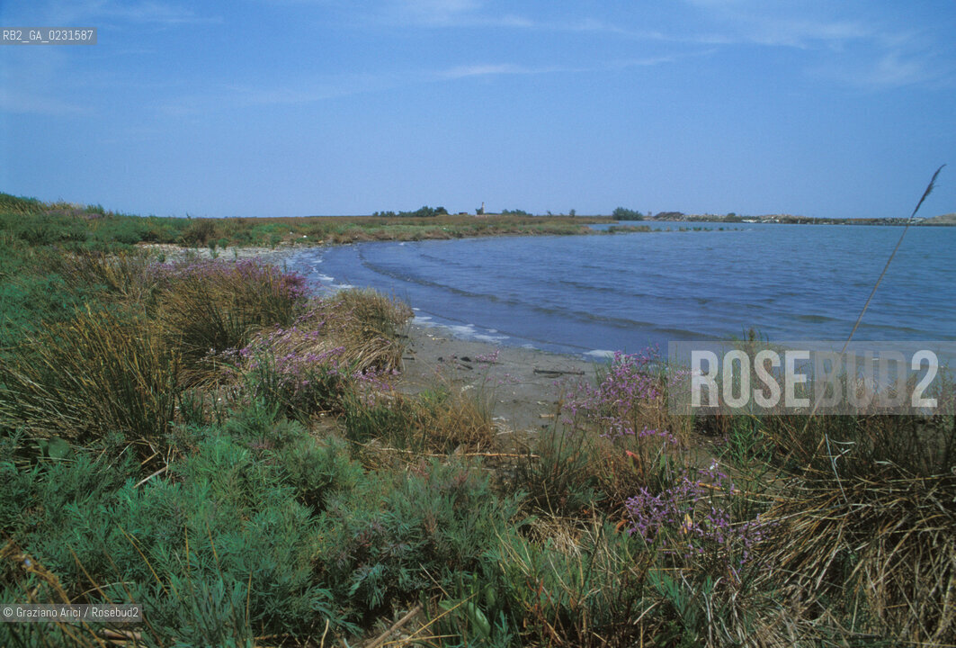 Caption: Nome:..LE SALINE DALLISOLA DI SANTARIANO....Localizzazione:..VENEZIA / ISOLA DI SANTARIANO / LAGUNA NORD..VENICE / THE ISLE OF SANTARIANO   / THE NORTH LAGOON..Soggetto:..LE SALINE DALLISOLA DI SANTARIANO..LE SALINE FROM THE ISLE OF SANTARIANO..Cronologia:......Autore:......Stile:......Editori Stampatori:......Committenza:......Materia e Tecnica:......Collocazione:......Note:..NEL 1565 VIENE REALIZZATO UN MURO CHE RECINGE ANCORA OGGI LA PARTE DELLISOLA ALLORA DESTINATA AD OSSARIO..IN 1565 A WALL HAS BEEN BUILT TO SURROUND AN OSSUARY..Riproduzione Fotografica:..Graziano Arici/Rosebud2 ...Copyright:..Graziano Arici / rosebud2/....Data:..1993....Costo:..A....Key:..ISOLE ABBANDONATE..UNINHABITED ISLANDS