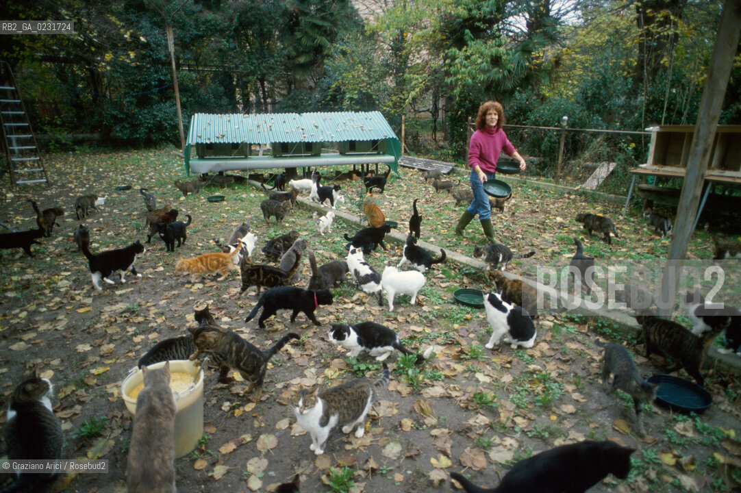 Nome:..ISOLA DI SAN CLEMENTE: RIFUGIO PER GATTI....Localizzazione:..VENEZIA / ISOLA DI SAN CLEMENTE / LAGUNA SUD..VENICE / THE ISLE OF SAN CLEMENTE / THE SOUTH  LAGOON..Soggetto:..ISOLA DI SAN CLEMENTE / RIFUGIO PER GATTI..ISLE OF  SAN CLEMENTE / REFUGE FOR CATS..Cronologia:......Autore:......Stile:......Editori Stampatori:......Committenza:......Materia e Tecnica:......Collocazione:......Note:..I PRIMI EDIFICI RISALGONO AL XII SECOLO / DAL 1834 LISOLA DIVENNE MANICOMIO PROVINCIALE FEMMINILE FINO AL1992 / SACCHEGGIATA NEL 1992, OGGI E DIVENTATA RIFUGIO PER GATTI RANDAGI, GRAZIE AI VOLONTARI DELLASSOCIAZIONE DINGO..THE FIRST BUILDINGS  DATE BACK TO THE XII CENTURY  / FROM 1834 TO 1992 IT WAS USED AS A GIRLS MENTAL HOSPITAL  / SACKED IN 1992, IT BECAME A REFUGE FOR STRAY CATS, THANKS TO  VOLUNTARY DINGO ASSOCIATION..Riproduzione Fotografica:..Graziano Arici/Rosebud2 ...Copyright:..Graziano Arici / rosebud2/....Data:..1993....Costo:..A....Key:..ISOLE ABBANDONATE..UNINHABITED ISLANDS