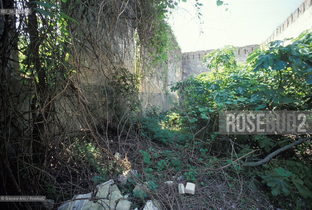 Nome:..ISOLA DI SAN GIORGIO IN ALGA....Localizzazione:..VENEZIA / ISOLA DI SAN GIORGIO IN ALGA / LAGUNA SUD..VENICE / THE ISLE OF SAN GIORGIO IN ALGA  / THE SOUTH LAGOON..Soggetto:..ISOLA DI SAN GIORGIO IN ALGA / RESTI DI UN EDIFICIO ..THE ISLE OF SAN GIORGIO IN ALGA / REMAINS OF A BUILDING ..Cronologia:......Autore:......Stile:......Editori Stampatori:......Committenza:......Materia e Tecnica:......Collocazione:......Note:..NEL XI SEC. FU COSTRUITO UN CONVENTO / NEL 1729 VENNE UTILIZZATA COME CARCERE POLITICO E NEL 1806 VENNE TRASFORMATA IN POLVERIERA ..IN XIth CENTURY A CONVENT WAS BUILT /  THE ISLAND WAS USED FOR THE CONFINEMENT OF POLITICAL PRISONERS FROM 1729 AND IN 1806 WAS CONVERTED INTO A POWDER MAGAZINE..Riproduzione Fotografica:..Graziano Arici/Rosebud2 ...Copyright:..Graziano Arici / rosebud2/....Data:..1993....Costo:..A....Key:..ISOLE ABBANDONATE..UNINHABITED ISLANDS