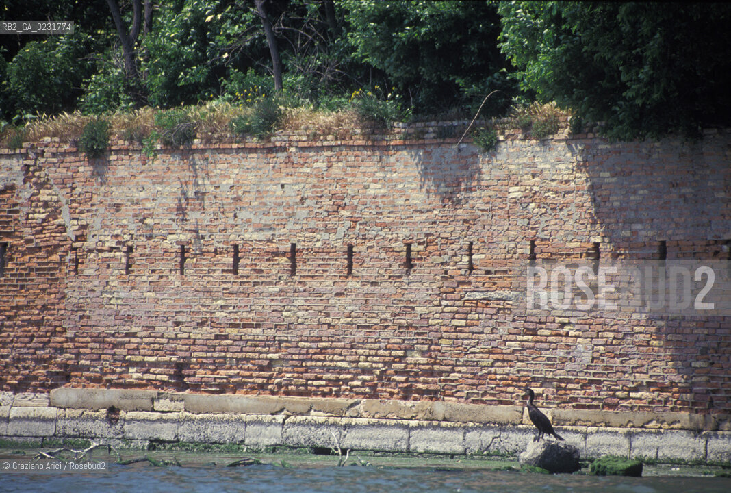 Nome:..ISOLA DI SAN GIORGIO IN ALGA....Localizzazione:..VENEZIA / ISOLA DI SAN GIORGIO IN ALGA / LAGUNA SUD..VENICE / THE ISLE OF SAN GIORGIO IN ALGA  / THE SOUTH LAGOON..Soggetto:..ISOLA DI SAN GIORGIO IN ALGA / RESTI DI UN EDIFICIO CORMORANO UCCELLO..THE ISLE OF SAN GIORGIO IN ALGA / REMAINS OF A BUILDING ..Cronologia:......Autore:......Stile:......Editori Stampatori:......Committenza:......Materia e Tecnica:......Collocazione:......Note:..NEL XI SEC. FU COSTRUITO UN CONVENTO / NEL 1729 VENNE UTILIZZATA COME CARCERE POLITICO E NEL 1806 VENNE TRASFORMATA IN POLVERIERA ..IN XIth CENTURY A CONVENT WAS BUILT /  THE ISLAND WAS USED FOR THE CONFINEMENT OF POLITICAL PRISONERS FROM 1729 AND IN 1806 WAS CONVERTED INTO A POWDER MAGAZINE..Riproduzione Fotografica:..Graziano Arici/Rosebud2 ...Copyright:..Graziano Arici / rosebud2/....Data:..1993....Costo:..A....Key:..ISOLE ABBANDONATE..UNINHABITED ISLANDS
