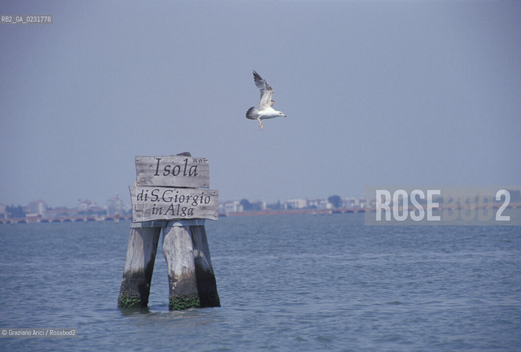 Nome:..CANALE DI SAN GIORGIO IN ALGA....Localizzazione:..VENEZIA / LAGUNA SUD..VENICE / THE SOUTH LAGOON..Soggetto:..CANALE DI SAN GIORGIO IN ALGA E ISOLA DEL TRONCHETTO GABBIANO ..THE CANAL OF SAN GIORGIO IN ALGA AND TRONCHETTO ISLE..Cronologia:......Autore:......Stile:......Editori Stampatori:......Committenza:......Materia e Tecnica:......Collocazione:......Note:......Riproduzione Fotografica:..Graziano Arici/Rosebud2 ...Copyright:..Graziano Arici / rosebud2/....Data:..1993....Costo:..A....Key:..ISOLE ABBANDONATE..UNINHABITED ISLANDS