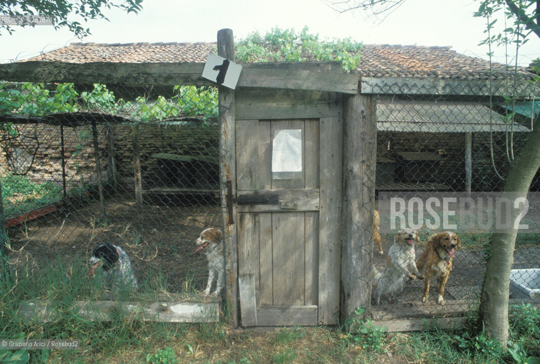 Caption: Nome:..ISOLA DEL LAZZARETTO VECCHIO: RIFUGIO PER CANI....Localizzazione:..VENEZIA / ISOLA DEL LAZZARETTO VECCHIO / LAGUNA SUD..VENICE / THE ISLE OF LAZZARETTO VECCHIO / THE SOUTH LAGOON..Soggetto:..ISOLA DEL LAZZARETTO VECCHIO / RIFUGIO PER CANI..THE ISLE OF LAZZARETTO VECCHIO / REFUGE FOR DOGS ..Cronologia:......Autore:.. ....Stile:......Editori Stampatori:......Committenza:......Materia e Tecnica:......Collocazione:......Note:..NEL 1423 SCOPPIO LA PESTE IN CITTA E LISOLA VENNE TRASFORMATA IN LAZZARETTO / DAL 1968 E DIVENTATA RIFUGIO PER CANI ABBANDONATI ..WITH THE 1423 PLAGUE THE ISLAND BECAME LAZZARETTO  (QUARANTINE STATION) / FROM 1968  IT BECAME A REFUGE FOR ABANDONED DOGS..Riproduzione Fotografica:..Graziano Arici/Rosebud2 ...Copyright:..Graziano Arici / rosebud2/....Data:..1993....Costo:..A....Key:..ISOLE ABBANDONATE..UNINHABITED ISLANDS
