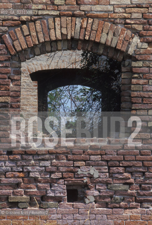 Caption: Nome:..ISOLA DI MADONNA DEL MONTE: RESTI DI UN EDIFICIO....Localizzazione:..VENEZIA / ISOLA DI MADONNA DEL MONTE / LAGUNA NORD..VENICE / THE ISLE OF MADONNA DEL MONTE  / THE NORTH LAGOON..Soggetto:..ISOLA DI MADONNA DEL MONTE / RESTI DI UN EDIFICIO FINESTRA..THE ISLE OF MADONNA DEL MONTE  / REMAINS OF A BUILDING    ..Cronologia:......Autore:.. ....Stile:......Editori Stampatori:......Committenza:......Materia e Tecnica:......Collocazione:......Note:..NEL1303 FU COSTRUITO UN CONVENTO / LISOLA VENNE TRASFORMATA IN POLVERIERA ALLINIZIO DEL XX° SECOLO..IN 1303 A CONVENT WAS BUILT  / THE ISLAND WAS CONVERTED INTO A POWDER MAGAZINE AT THE BEGINNING OF THE XXth CENTURY..Riproduzione Fotografica:..Graziano Arici/Rosebud2 ...Copyright:..Graziano Arici / rosebud2/....Data:..1993....Costo:..A....Key:..ISOLE ABBANDONATE..UNINHABITED ISLANDS