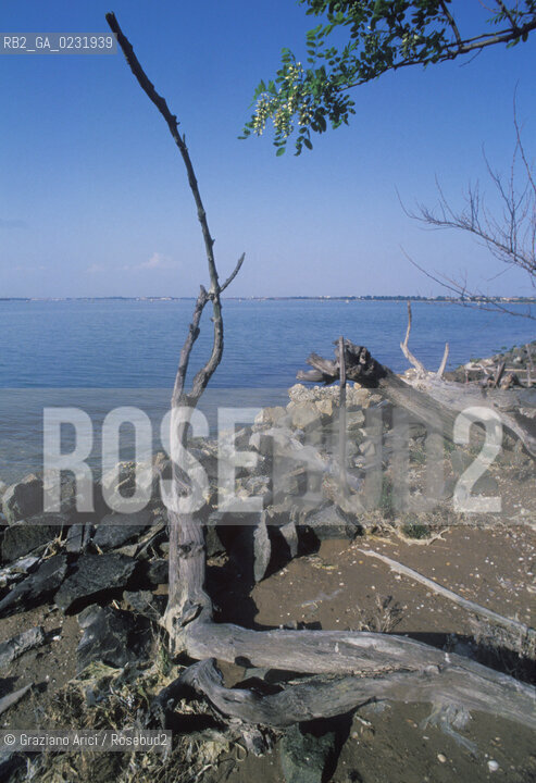 Caption: Nome:..ISOLA DI POVEGLIA....Localizzazione:..VENEZIA / ISOLA DI POVEGLIA / LAGUNA SUD..VENICE / THE ISLE OF POVEGLIA  / THE SOUTH LAGOON..Soggetto:..ISOLA DI POVEGLIA..THE ISLE OF POVEGLIA..Cronologia:......Autore:......Stile:......Editori Stampatori:.... ..Committenza:......Materia e Tecnica:......Collocazione:......Note:..DAL IX AL XIV SECOLO FU ABITATA DAGLI SCHIAVI E SERVITORI DEL DOGE / NEL XVIII SECOLO VENNE COSTRUITO UN LAZZARETTO, POI TRASFORMATO IN CONVALESCENZIARIO..FROM IXth TO XIVth CENTURY WAS  INHABITED BY THE SLAVES AND SERVANTS OF THE DOGE / IN XVIIth CENTURY  A LAZZARETTO WAS BUILT AND THIS WAS LATER CONVERTED INTO A CONVALESCENT HOME..Riproduzione Fotografica:..Graziano Arici/Rosebud2 ...Copyright:..Graziano Arici / rosebud2/....Data:..1993....Costo:..A....Key:..ISOLE ABBANDONATE..UNINHABITED ISLANDS