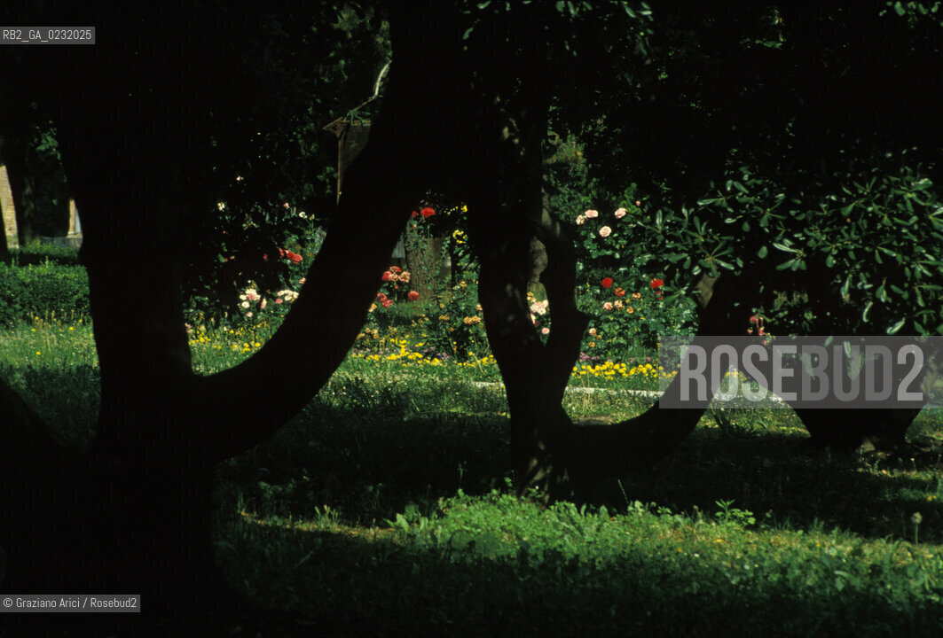 Caption: Nome:..ISOLA DI SAN SERVOLO....Localizzazione:..VENEZIA / ISOLA DI SAN SERVOLO / LAGUNA SUD..VENICE / THE ISLE OF SAN SERVOLO / THE SOUTH  LAGOON..Soggetto:..ISOLA DI SAN SERVOLO GIARDINO..THE ISLE OF SAN SERVOLO..Cronologia:......Autore:......Stile:......Editori Stampatori:......Committenza:......Materia e Tecnica:......Collocazione:......Note:..DAL 1734 DIVENNE RICOVERO PER MALATTIE MENTALI FINO AL 1979 / DAL1982 OSPITA LA SCUOLA EUROPEA DI ONCOLOGIA E IL CENTRO EUROPEO PER RESTAURATORI / DAL 1996 E SEDE DELLA VENICE INTERNATIONAL UNIVERSITY / RIUSO..FROM 1734 TO 1979 IT WAS USED AS A MENTAL HOSPITAL / IN 1982  IT BECAME THE SEAT OF EUROPEAN SCHOOL OF ONCOLOGY  AND  OF THE EUROPEAN  CENTRE FOR RESTORERS / IN 1996 IT BECAME THE SEAT OF THE VENICE INTERNATIONAL UNIVERSITY /  RE-USE ..Riproduzione Fotografica:..Graziano Arici/Rosebud2 ...Copyright:..Graziano Arici / rosebud2/....Data:..1993....Costo:..A....Key:..ISOLE ABBANDONATE..UNINHABITED ISLANDS