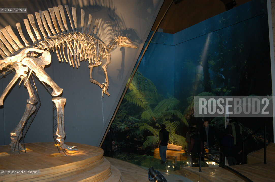 NIGER 1973 LA SALA DEL MUSEO DI STORIA NATURALE DEDICATA ALLA SPEDIZIONE SCIENTIFICA DI GIANCARLO LIGABUE NEL DESERTO DEL TENERE CON LO  SCHELETRO DEL DINOSAURO OURANOSAURUS NIGERIENSIS  - © 2003 Graziano Arici/Rosebud2