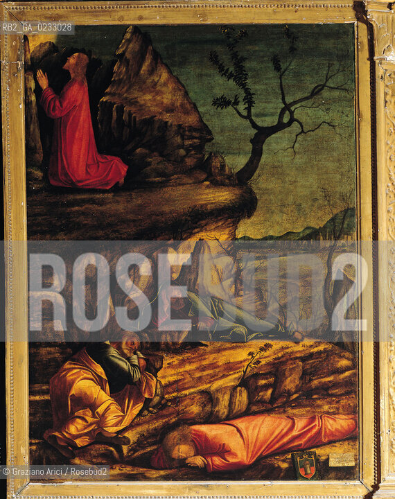 VITTORE CARPACCIO - Storie evangeliche, Orazione nellorto, Olio su tela, 141 x 107 cm.Venezia, Scuola di San Giorgio degli Schiavoni. Archivio Graziano Arici - Mostra Carpaccio, pittore di storie GALLERIE ALLACCADEMIA 27 NOVEMBRE 2004/23 MARZO 2005 La cessione dei diritti si intende per quanto di nostra competenza; non comprende invece le eventuali spese relative a diritti che potranno essere richiesti dagli Enti o Persone a cui appartengono le opere riprese. Tali costi, ove neccessari, e lÕespletamento di qualsivoglia pratica di richiesta di permessi e autorizzazioni sono esclusivamente  a  carico del committente.