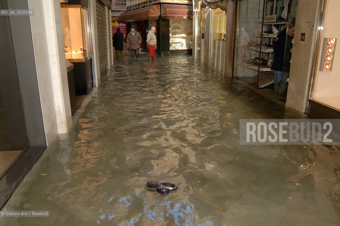VENEZIA 3/12/05 ALTA MAREA A VENEZIA @ Graziano Arici/Rosebud2 ACQUA ALTA COLOMBO PICCIONE