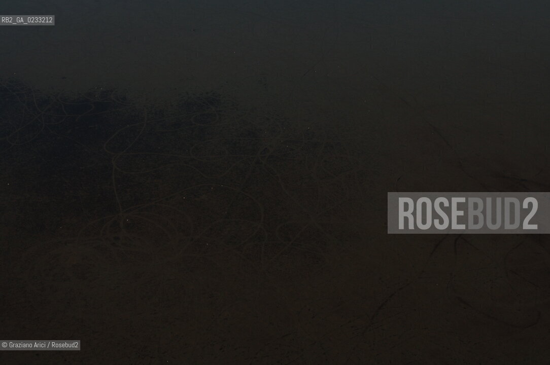 VENEZIA 11 GENNAIO 2006 - FOTO AEREA DELLA LAGUNA BARENE ©Graziano Arici/Rosebud2 AEREA