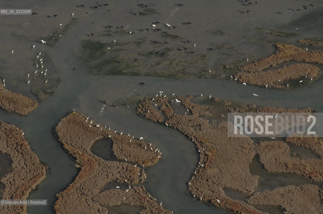 VENEZIA 10/10/06 FOTO AEREE AI LAVORI IN CORSO  PER LA RICOSTRUZIONE BARENE UCCELLI  ©Graziano Arici/Rosebud2 CONSORZIO VENEZIA NUOVA LAGUNA