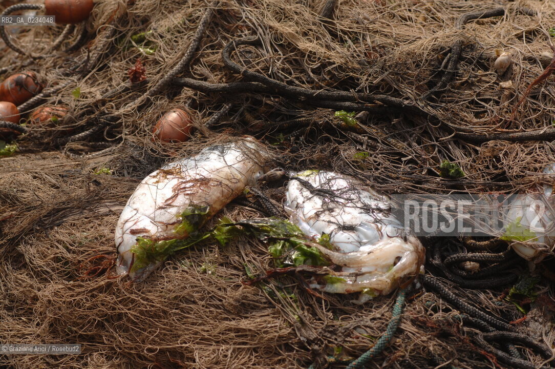 VENICE 31/3/2008 - FISHING-BOAT IN VENICE CANALS @ Graziano Arici/Rosebud2 PESCA LAGUNA.