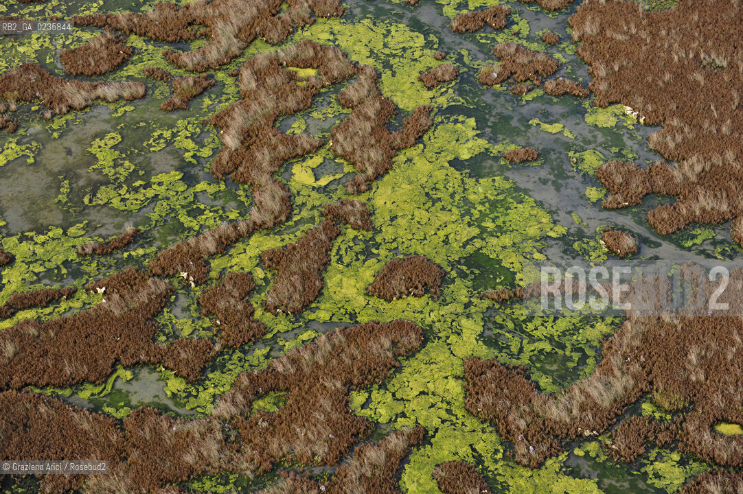 VENEZIA 11/10/10- FOTO AEREE DELLE BARENE DELLA LAGUNA SUD ©Graziano Arici/Rosebud2 CONSORZIO VENEZIA NUOVA LAGUNA BARENA
