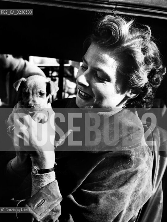 -1949. Riprese del film Stromboli di Roberto Rossellini: lattrice Ingrid Bergman con un cagnolino. Film riprese set Cinema.-1949. Shooting of the film Strombolidirected by Roberto Rossellini: the actress Ingrid Bergman with a little dog - Archivio Graziano Arici.LArchivio Arici non è riuscito ad avere informazioni sullautore di questa foto. Siamo comunque a disposizione di qualunque avente diritto per riconoscere eventuali proprietà intellettuali che non sia stato possibile fin qui attribuire. .Qualora si fosse inavvertitamente leso qualsiasi diritto di riproduzione, si prega di contattare lArchivio che provvederà a rimuovere le immagini in questione..La cessione dei diritti di questa immagine si intende per quanto di nostra competenza. Non comprende invece le eventuali spese  relative a diritti che potranno essere richiesti dagli Enti o persone fisiche cui appartengono eventualmente i soggetti  ripresi. Tali costi, ove necessari, e l’espletamento di qualsivoglia pratica di richiesta di concessione del permesso di pubblicazione sono esclusivamente a carico e a cura del soggetto acquirente di questa immagine...  astga ©Graziano Arici/Rosebud2