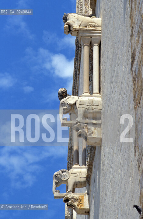 - Trani(Puglia),2002.La cattedrale: un particolare Geo Trani cattedrale architettura.-Trani(Puglia),2002. The cathedral of Trani: a detail ©Graziano Arici/Rosebud2
