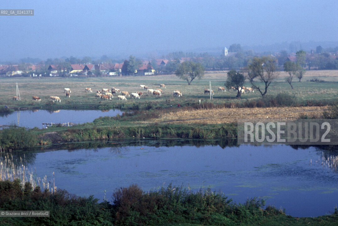 - Ungheria,Budapest,1978.Campagna a sud di Budapest.GEO campagna paesaggio .- Hungary,Budapest,1978.Country of Budapest Mes ©  Graziano Arici.