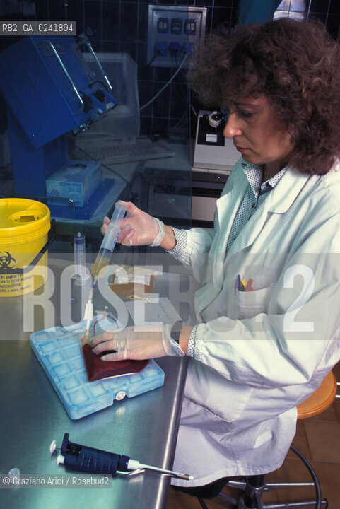 -Bologna,1995.Istituto di ematologia Seragnolidellospedale SantOrsola di Bologna: procedimento di ibernazione delle cellule. scienza medicina ricerca trapainto cellule midollo -Bologna,1995. SeragnoliInstitute of Hematology: Hibernation cell ©Graziano Arici/Rosebud2