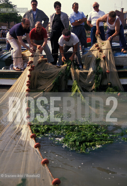 -venezia,1990. Pescatori di Burano raccolgono alghe dalla laguna durante una manifestazione di protesta. Inquinamento laguna alghe pescatore protesta Burano.-venice,1990. Fishermens protest against pollution of the lagoon:fishermen collect algae in the lagoon ©Graziano Arici/Rosebud2
